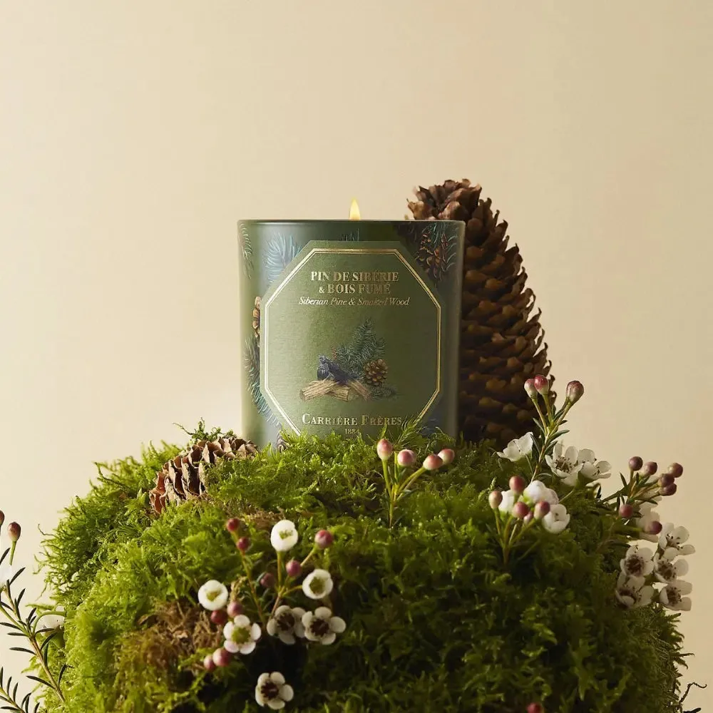 Carriere Freres Festive Pine & Smoked Wood Candle 185g