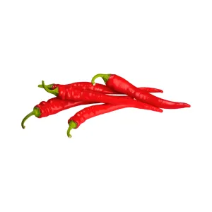 Hot Pepper Red Rocket / Piment Fort Red Rocket | Tourne-Sol Organic Seeds