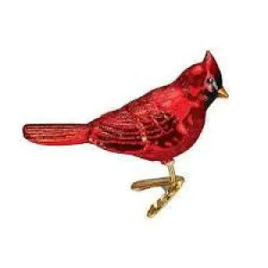 NORTHERN CARDINAL